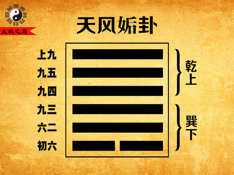 第44卦?姤卦彖傳詳解-天風(fēng)姤卦（巽下乾上）